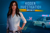 Hidden Investigation: Who Did it?