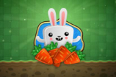 Bunny Quest