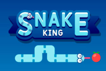Portada del juego Snake King